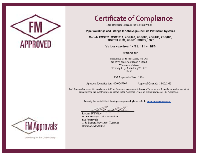 FM1