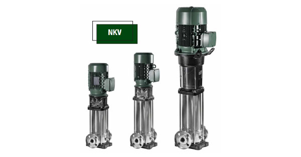 NKV